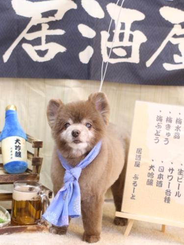 20240605クッキーくん